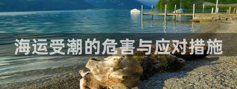 欢迎您来到公海客服