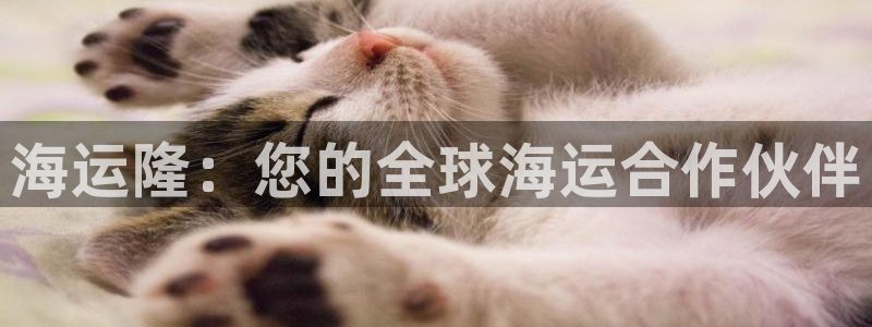 公海赌钱公安会抓吗