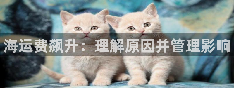 公海赌博犯法吗