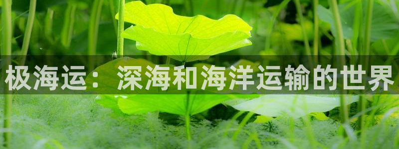 欢迎公海来到赌船710